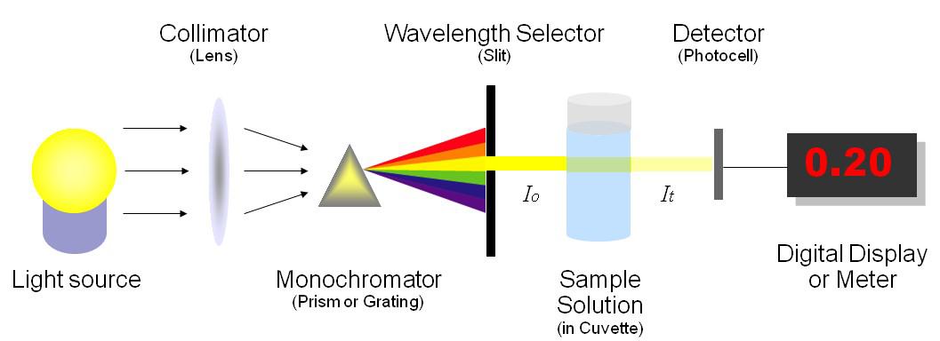 Image result for spectrophotometer
diagram