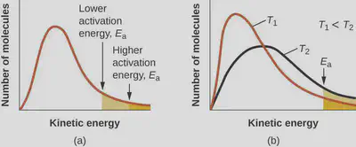 Image result for number of collisions vs kinetic
energy